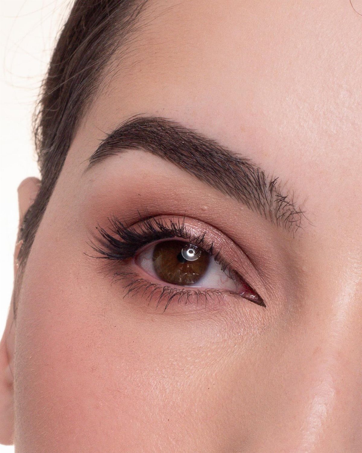 Close-up of an eye with natural brown eyeshadow and long dark lashes.